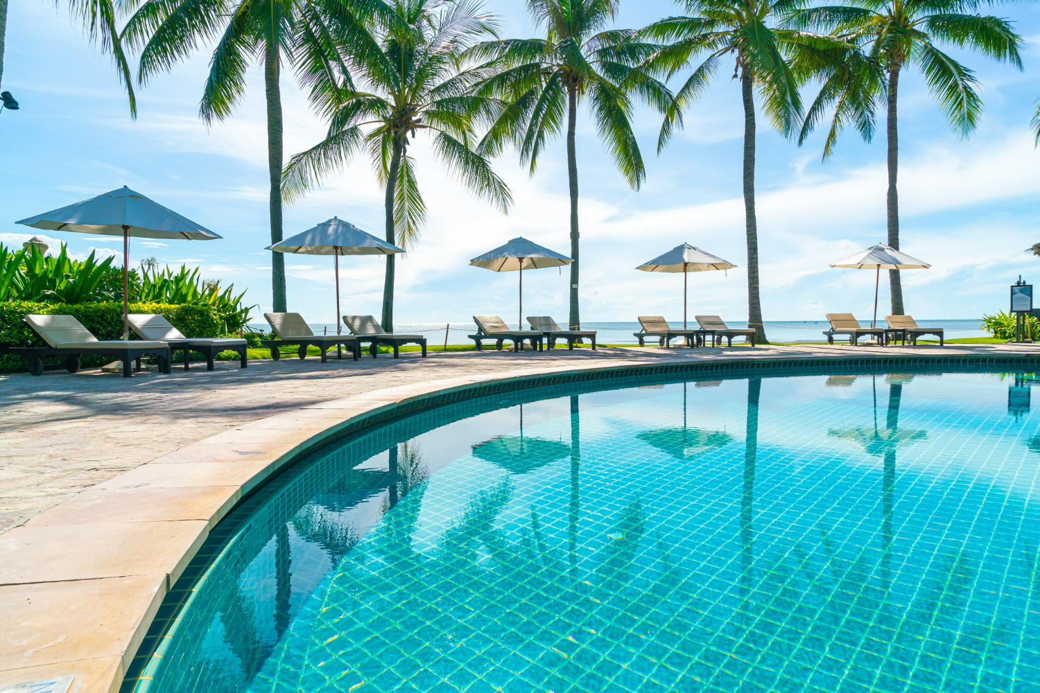 A curved resort pool lined with palms, umbrellas and loungers beside the sea.